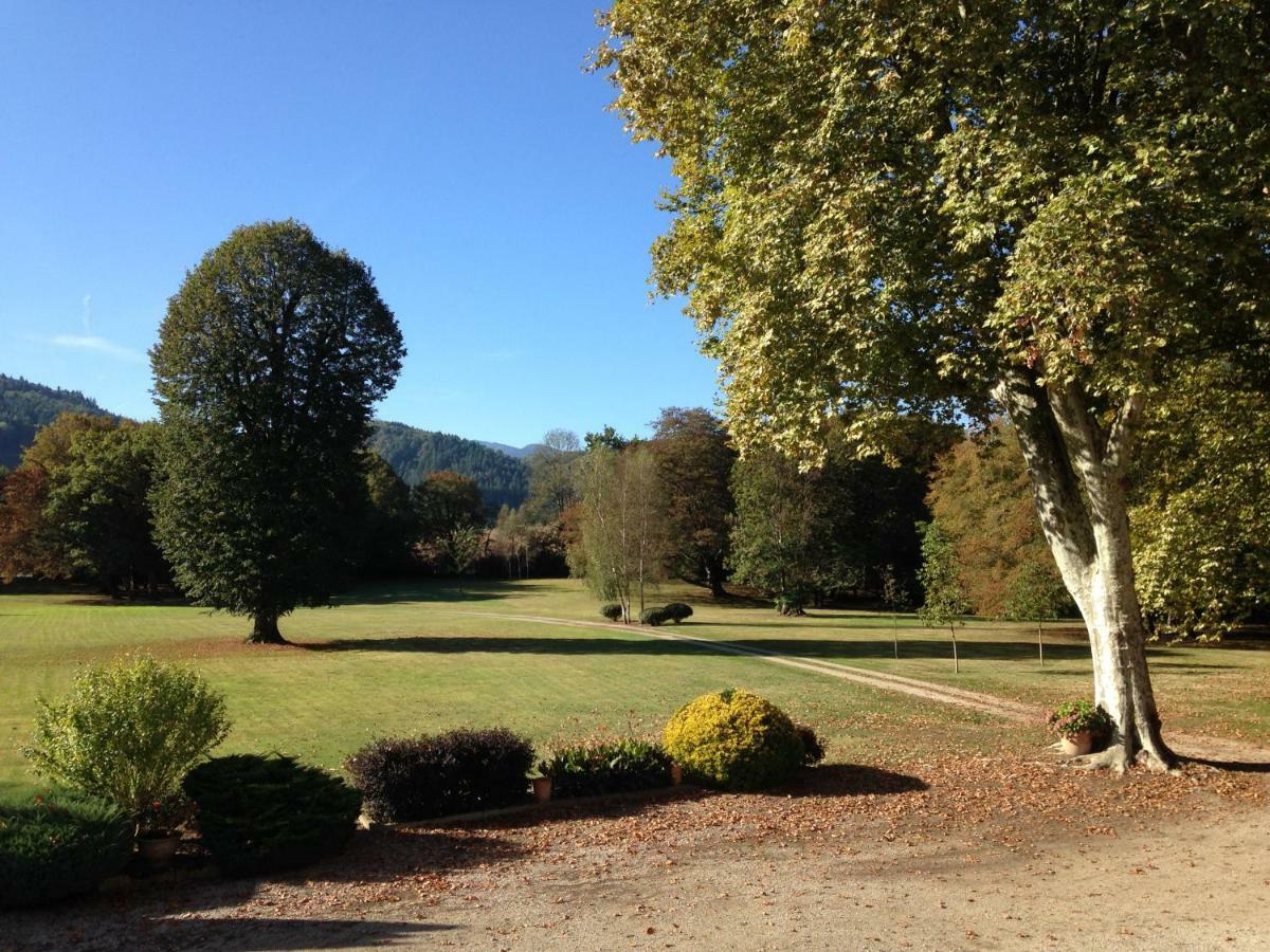 Chateau Du Val Larbont La Bastide-de-Sérou Buitenkant foto
